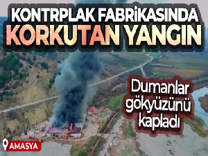 Amasya'da kontrplak fabrikasında korkutan yangın