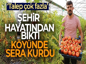 Şehir hayatını bırakıp köyünde sera kurdu
