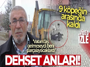 Yolda 9 köpeğin arasında kalan vatandaşın yaşadığı dehşet kamerada