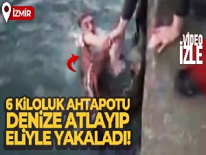6 kiloluk ahtapotu denize atlayıp eliyle yakaladı