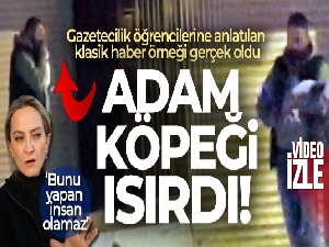 Kucağına aldığı yavru köpeği ısırıp yumrukladı...O anlar kamerada