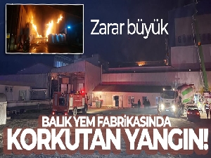 Balık yemi fabrikasındaki yangın kontrol altına alındı