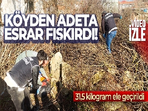 Köyden adeta esrar fışkırdı