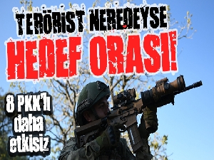 Suriye'nin kuzeyinde 8 PKK/YPG'li terörist etkisiz hale getirildi