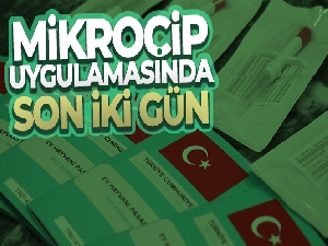 Ev hayvanlarının dijital kimliklendirilmesi için son iki gün