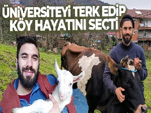 Üniversiteyi terk etti, köy hayatını seçti
