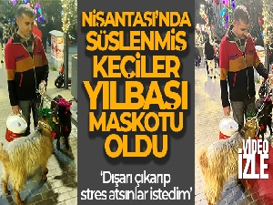 Nişantaşı'nda süslenmiş keçiler yılbaşı maskotu oldu