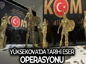 Yüksekova'da 111 adet sikke ele geçirildi