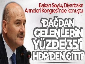 Bakan Soylu: 'Dağdan gelenlerin yüzde 35'i HDP'den gitti'