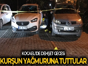 Arabasına binerken 7 kurşunla öldürüldü