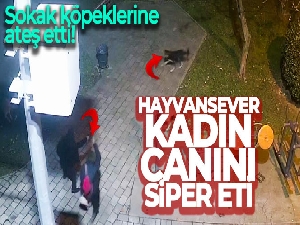 Ümraniye'de sokak köpeklerine ateş eden saldırganının önünde siper oldu