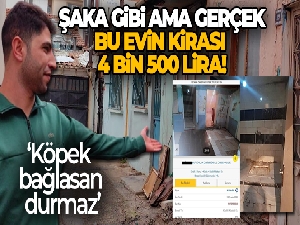 Böyle ev sahibi düşman başına