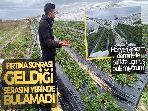 Fırtına sonrası geldiği serasını yerinde bulamadı