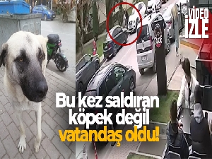 Bu kez saldıran köpek değil, vatandaş oldu