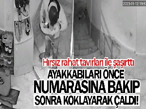 Ayakkabıları önce numarasına bakıp sonra koklayarak çaldı