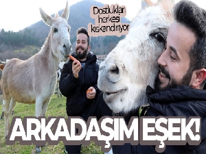 Eşekle arkadaşlığı herkesi kıskandırıyor