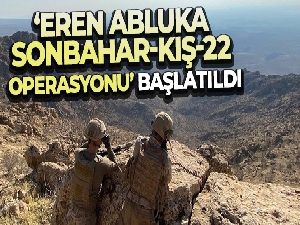 Mardin'de ‘Eren Abluka Sonbahar Kış- 22 Operasyonu' başlatıldı