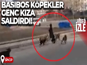Sinop'ta başıboş köpekler yoldan geçen genç kıza saldırdı