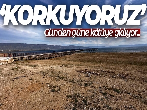 Kuraklığın en acı görüntüsü...