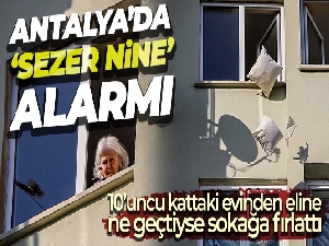 Antalya'da ‘Sezer nine' alarmı