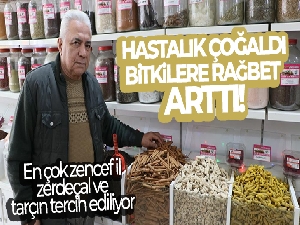 Hastalık çoğaldı, bitkilere rağbet arttı: En çok zencefil, zerdeçal ve tarçın tercih ediliyor
