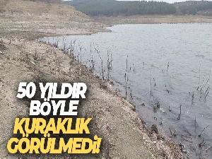 50 yıldır böyle kuraklık görülmedi: Dipteki ağaçlar ortaya çıktı