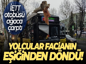 Avrupa'nın en iyisi bir Türk