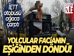Fatih'te facianın eşiğinden dönüldü: İçinde yolcuların bulunduğu İETT otobüsü ağaca çarptı