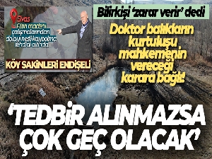 Doktor balıkların kurtuluşu mahkemenin vereceği karara bağlı