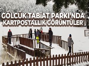 Gölcük Tabiat Parkı'nda göl dondu, ortaya kartpostallık görüntüler çıktı