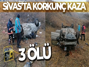 Otomobil şarampole uçtu: 3 ölü, 1 yaralı