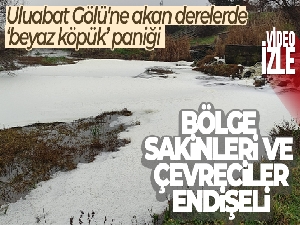 Uluabat Gölü'ne akan derelerde 'beyaz köpük' paniği