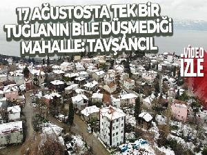 17 Ağustos'ta tek bir tuğlanın bile düşmediği mahalle: Tavşancıl