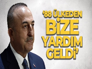 Dışişleri Bakanı Mevlüt Çavuşoğlu: '88 ülkeden bize yardım geldi'