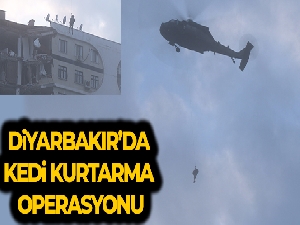 Enkazdaki kedi için helikopter kaldırıldı