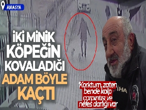 İki minik köpeğin kovaladığı adam böyle kaçtı
