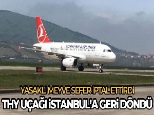 Yasak meyve koku detektörlerini harekete geçirdi, THY uçağı İstanbul'a geri döndü