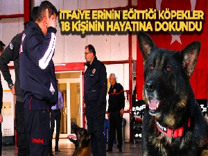 İtfaiye erinin eğittiği arama kurtarma köpekleri 18 kişinin hayatına dokundu