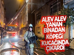 Beyoğlu'nda alev alev yanan binadan köpeği kucağında çıkardı