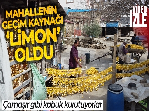 Mahallenin geçim kaynağı 'limon' oldu... Çamaşır gibi kabuk kurutuyorlar