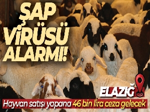 Elazığ'da SAT-2 tipi şap virüsü alarmı