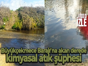 Büyükçekmece Barajı'na akan derede kimyasal atık şüphesi