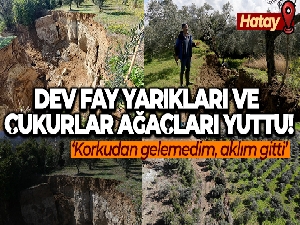 Hatay'da dev fay yarıkları ve çukurlar ağaçları yuttu