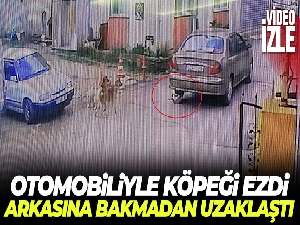 Otomobiliyle köpeği ezdi, arkasına bakmadan uzaklaştı