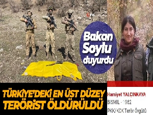 Kırmızı kategorideki terörist etkisiz hale getirildi