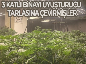 3 katlı binada 20 milyonluk uyuşturucu ele geçirildi, polis bile şaşkına döndü