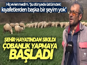 Şehir hayatından sıkıldı, çobanlık yapmaya başladı