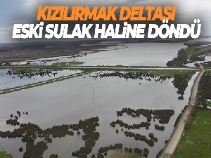 Kızılırmak Deltası eski sulak haline döndü