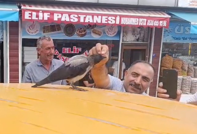 adilcevaz-da-kasap-ile-karga-arasindaki-sira-disi-dostluk-gulumsetti