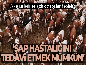 'Sağlığı ve üretimi tehdit eden şap hastalığını tedavi etmek mümkün'